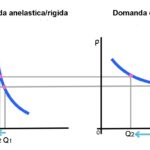 Elasticità della domanda